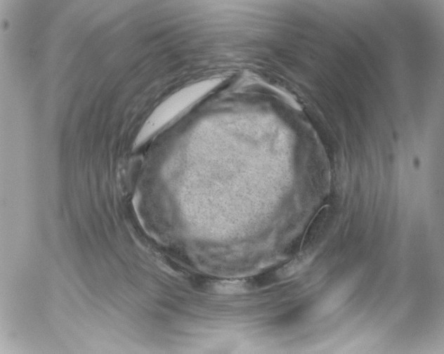 X0000052540085200507221436