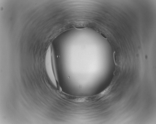 X0000052540086200507221436