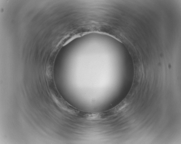 X0000052540088200507221436