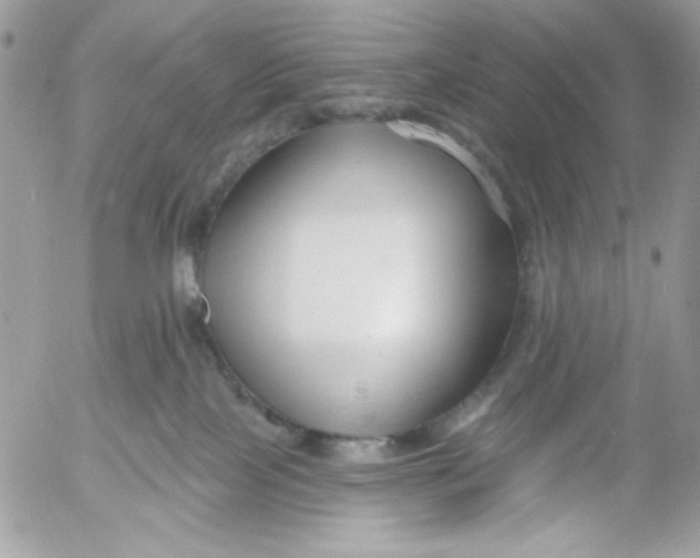 X0000052540089200507221436