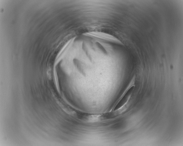 X0000052540090200507221436