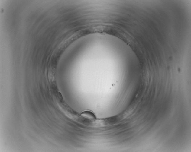 X0000052540091200507221436