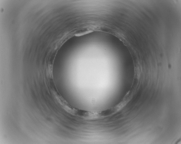 X0000052540093200507221436