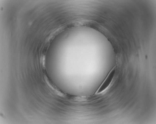 X0000052540094200507221436