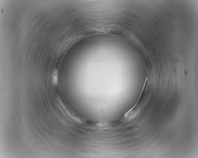 X0000052540095200507221436