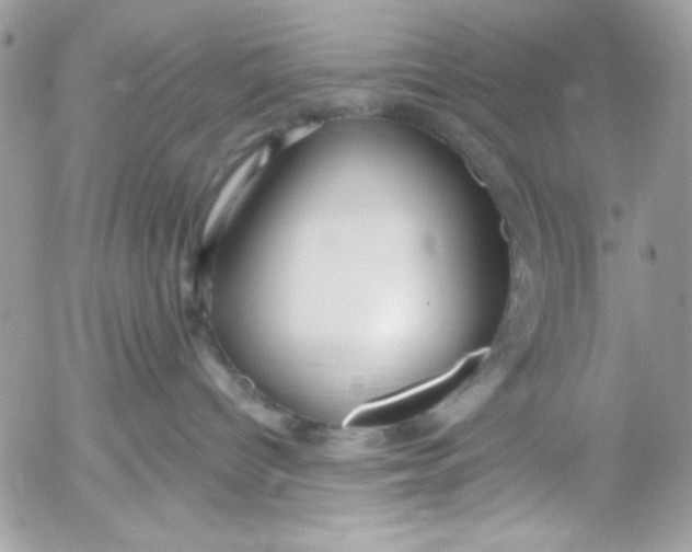 X0000052540096200507221437