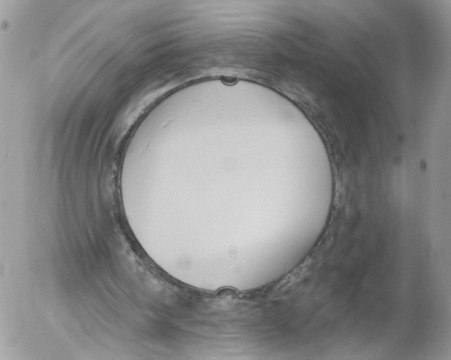 X0000052540098200507221436