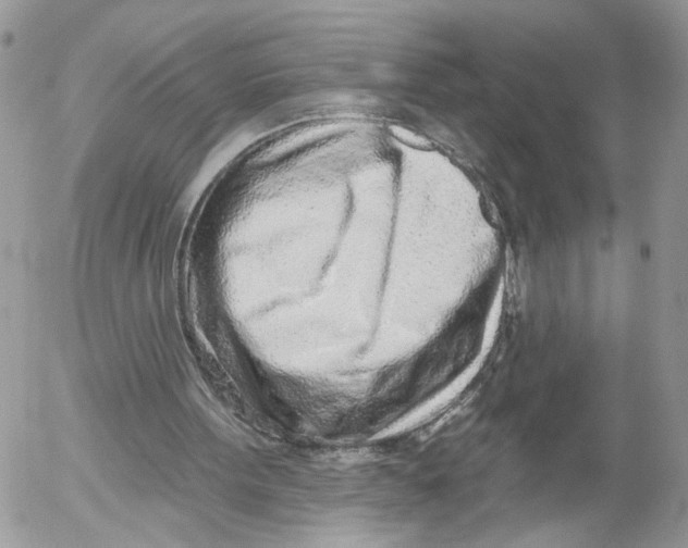 X0000052540099200507221436