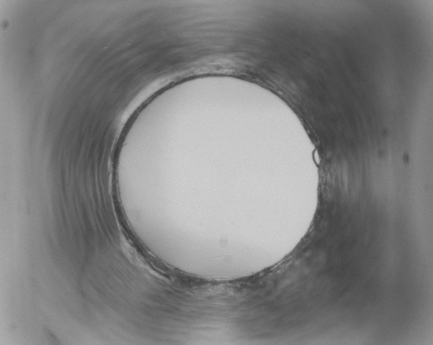 X0000052540100200507221436