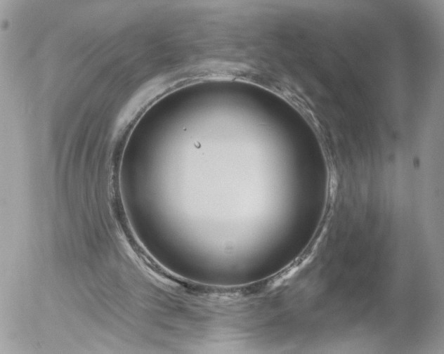 X0000052540101200507221436