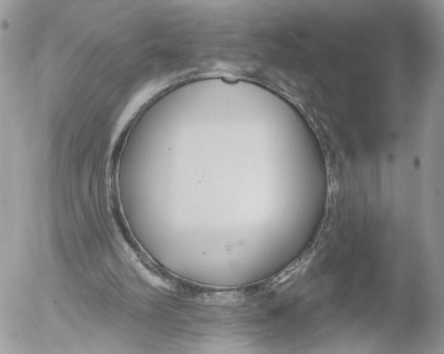 X0000052540102200507221436