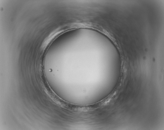 X0000052540103200507221436