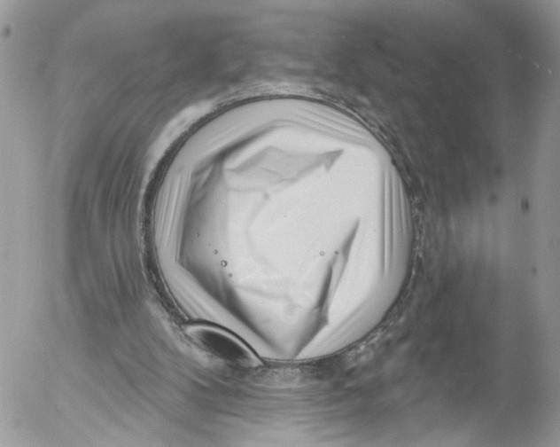 X0000052540104200507221436