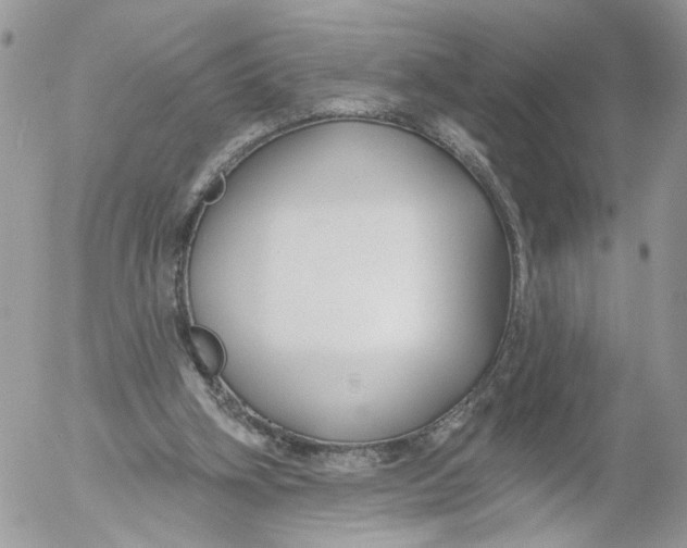 X0000052540106200507221436