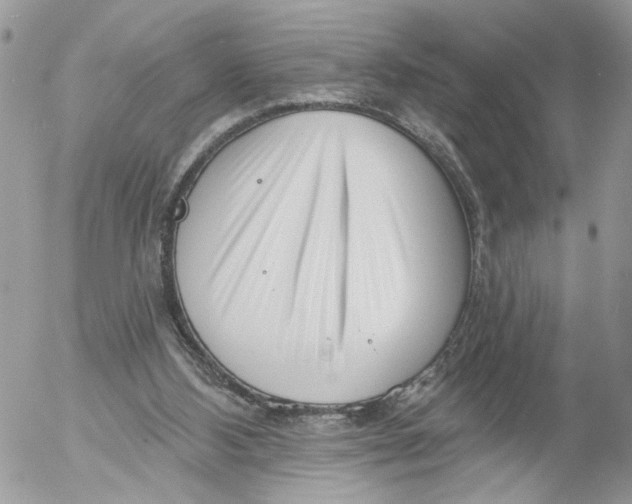 X0000052540108200507221436