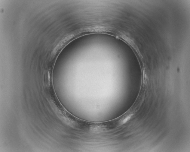 X0000052540109200507221436