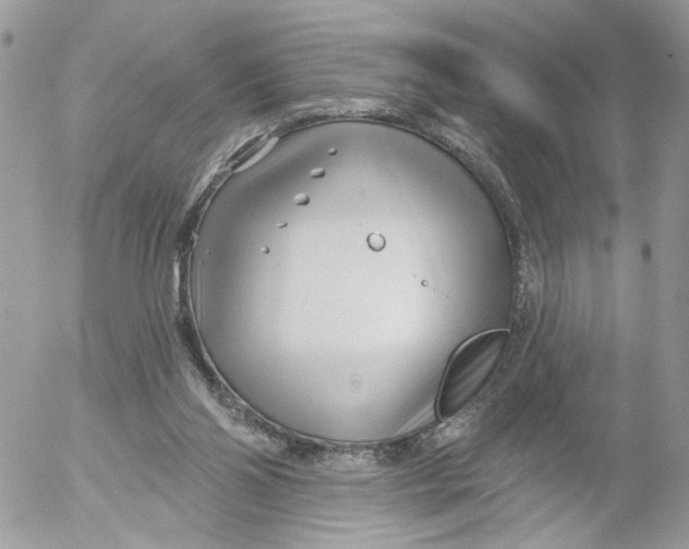 X0000052540110200507221436