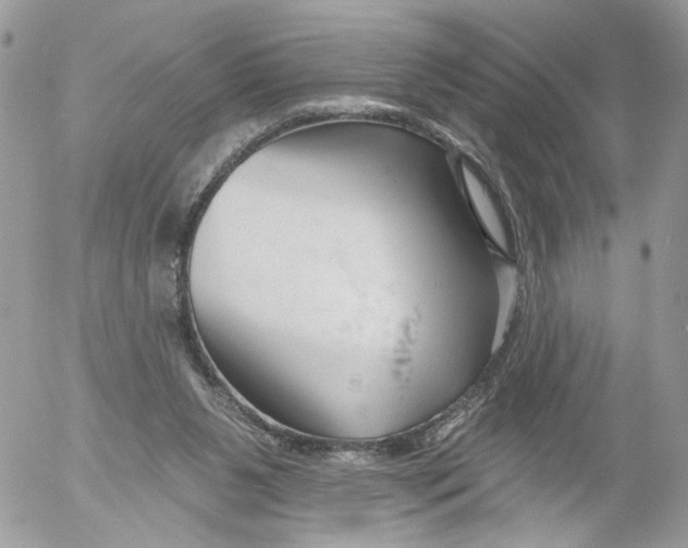 X0000052540111200507221435