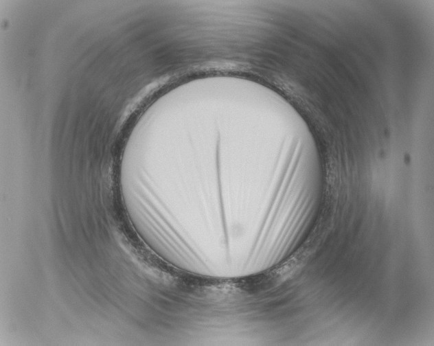 X0000052540112200507221435