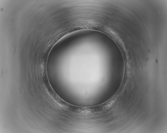 X0000052540113200507221435