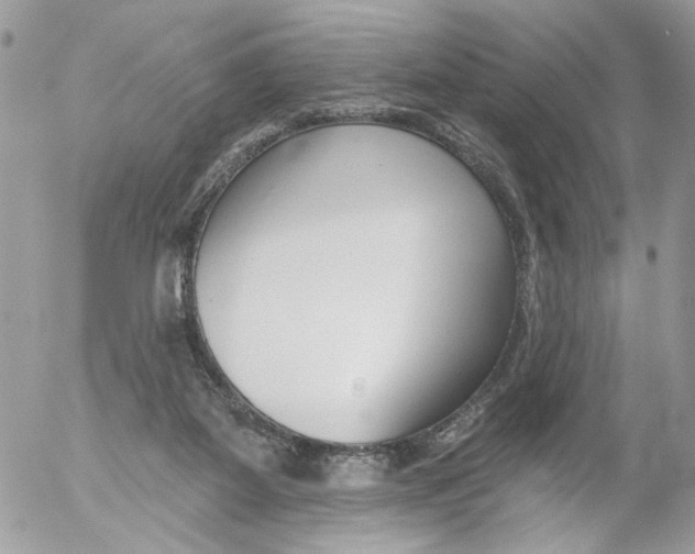 X0000052540115200507221435