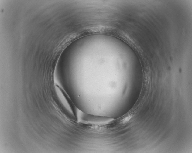 X0000052540117200507221435