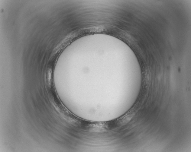 X0000052540118200507221435