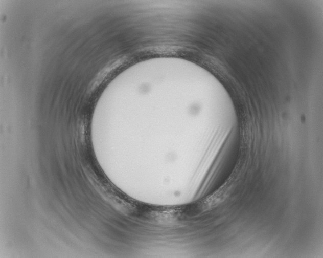 X0000052540120200507221435