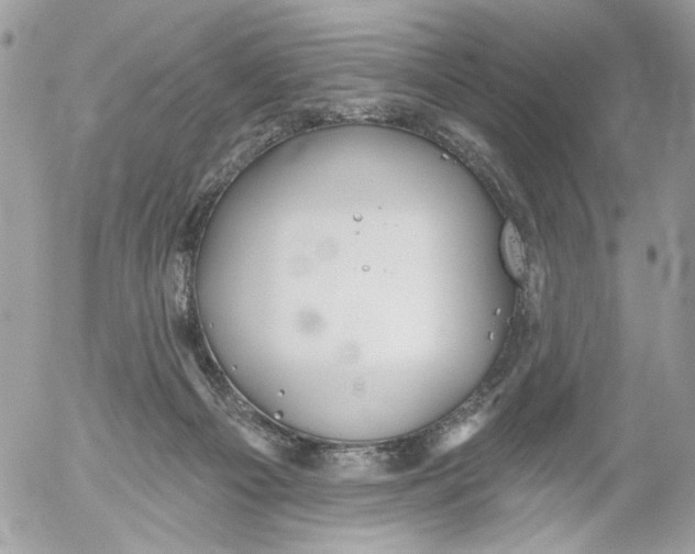 X0000052540121200507221435