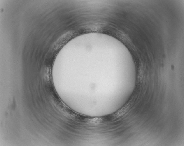 X0000052540122200507221435