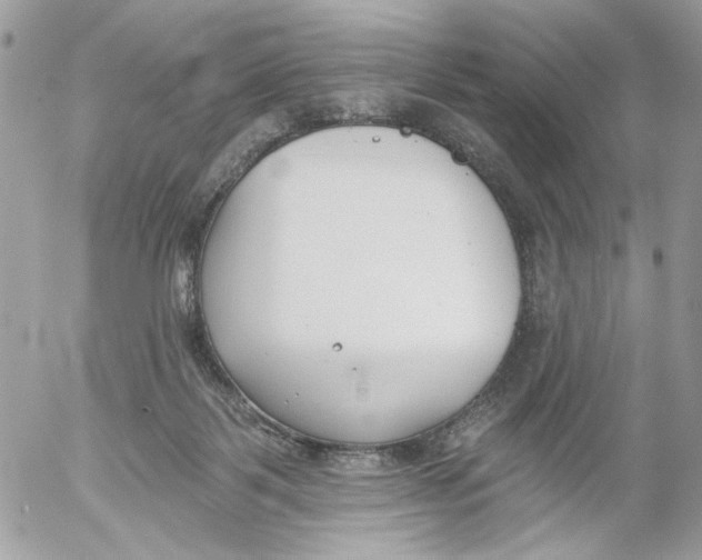 X0000052540123200507221435