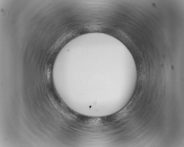 X0000052540124200507221435