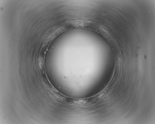 X0000052540125200507221435