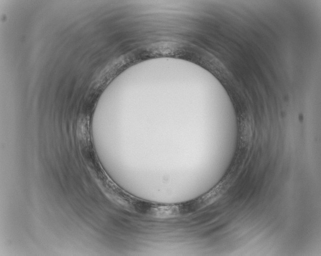 X0000052540126200507221435