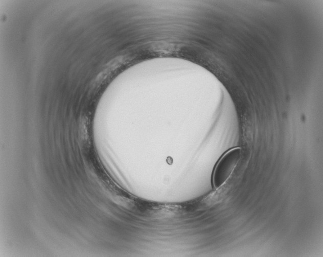 X0000052540128200507221435