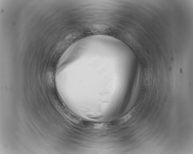 X0000052540130200507221435