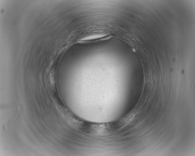 X0000052540131200507221435