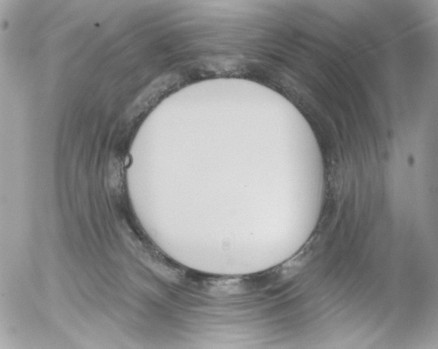 X0000052540132200507221435