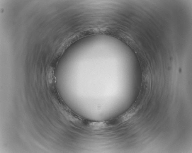 X0000052540133200507221435