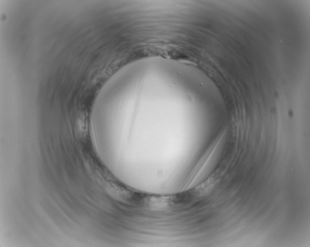 X0000052540134200507221435