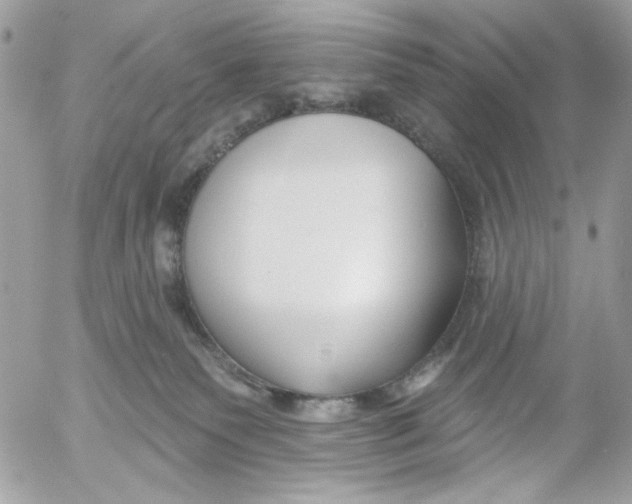 X0000052540135200507221435