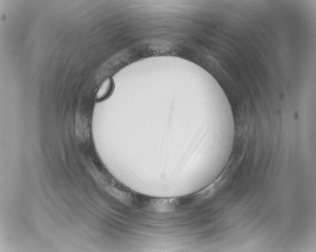 X0000052540136200507221435