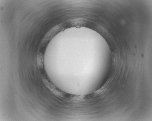 X0000052540138200507221435