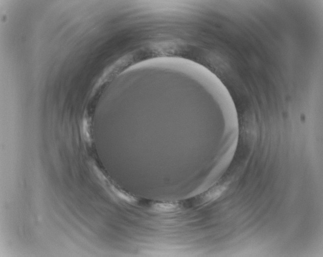 X0000052540139200507221435