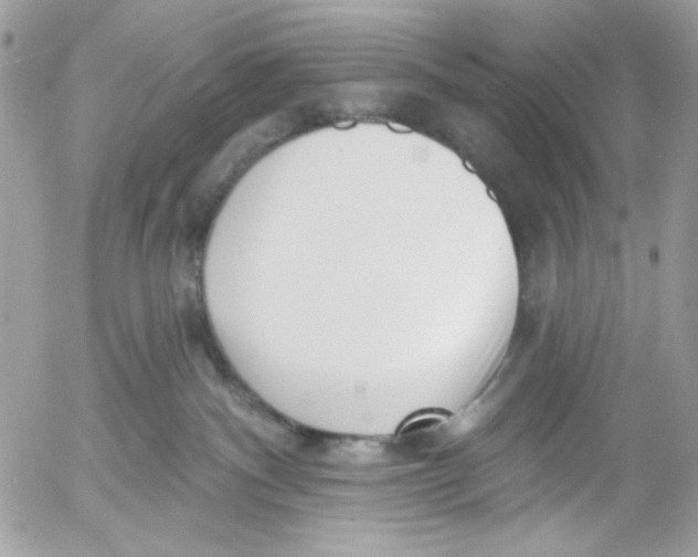 X0000052540140200507221435