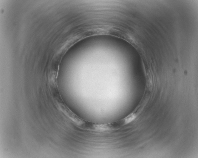 X0000052540141200507221435