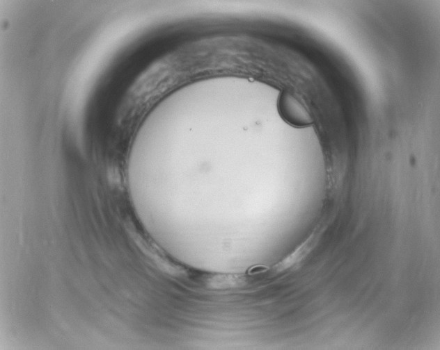 X0000052540142200507221435