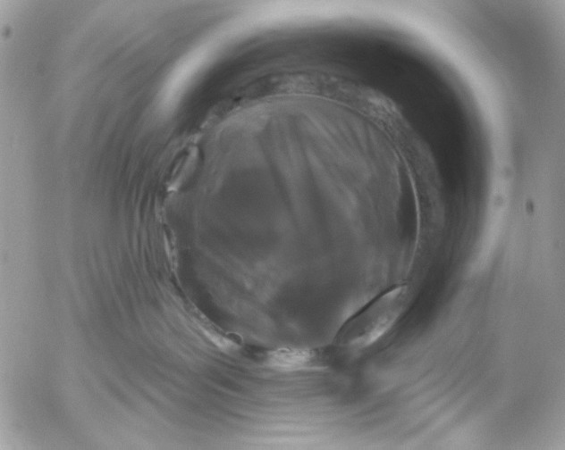 X0000052540143200507221435