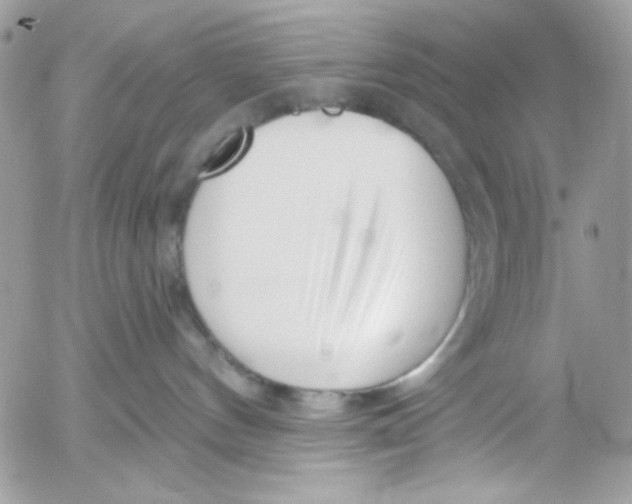 X0000052540144200507221435