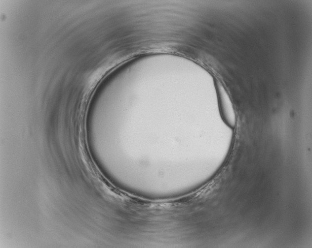 X0000052540145200507221434